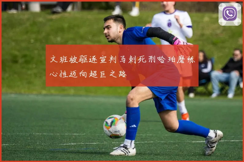文班被驱逐宣判马刺死刑哈珀磨练心性迈向超巨之路